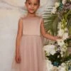 Chi Chi Girls 3D Floral Tulle Skirt Flower Girl Dress In Champagne -Threadnee Shop chi chi girls 3d floral tulle skirt flower girl dress in champagne e1626202313949