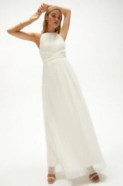 Coast All Over Pleated Maxi Dress, Ivory