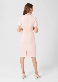 Hobbs Ana Shift Dress, Blush/Light Pink -Threadnee Shop hobbs ana shift dress blush light pink2 e1645262825478