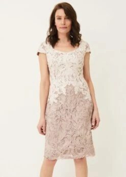 Phase Eight Jennifer Tapework Lace Shift Dress, Taupe/Oyster/Cream